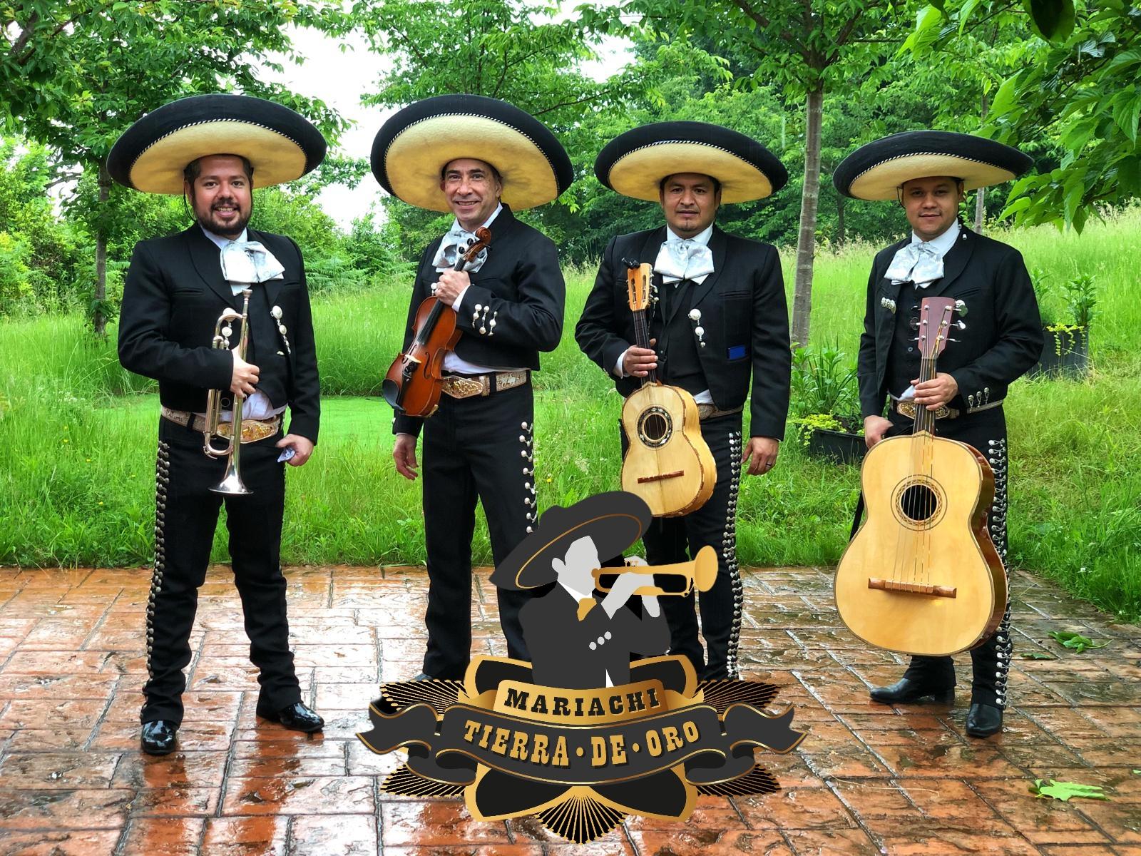 Mariachi Tierra de Oro — foto principal